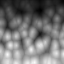 Surface In